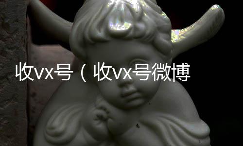 收vx号收vx（收vx号微博）